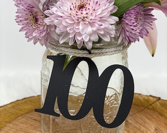 100th Birthday decorations, 100th Cutout, Glitter 100th Birthday Decoration, 100th Birthday Table Decorations, Age , 100th tags, Mason jar