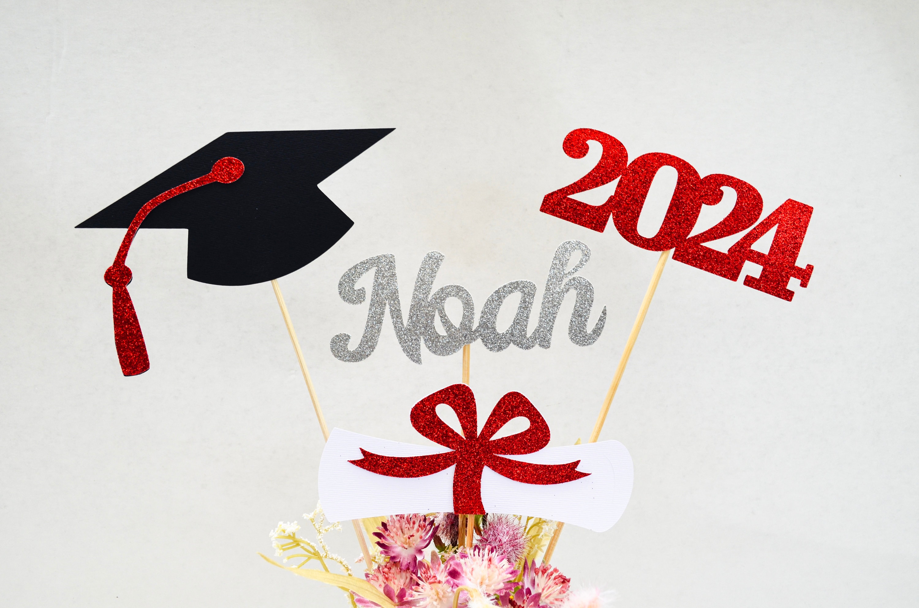 Pink Tassel,Pink Graduation Tassel 2024,Class of 2024 Tassel,2024 Tassel  Graduation,2024 Cap Tassel for Graduation Cap 2024,Charm Ceremonies