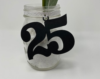 1995 Mason Jar Tags, Class Reunion 1995, Class Reunion Centerpiece, Class of 1995 Decoration, Class Anniversary, Prom, School, University