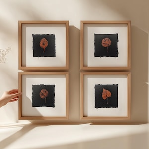 Könnte beinhalten: Vier gerahmte Kunstdrucke mit gepressten Blättern in Orange- und Brauntönen vor einem schwarzen Hintergrund. Die Blätter sind auf einem quadratischen schwarzen Papier zentriert, das in einem weißen Passepartout und einem hellbraunen Holzrahmen eingefasst ist. Das Kunstwerk wird an einer neutralfarbenen Wand ausgestellt.