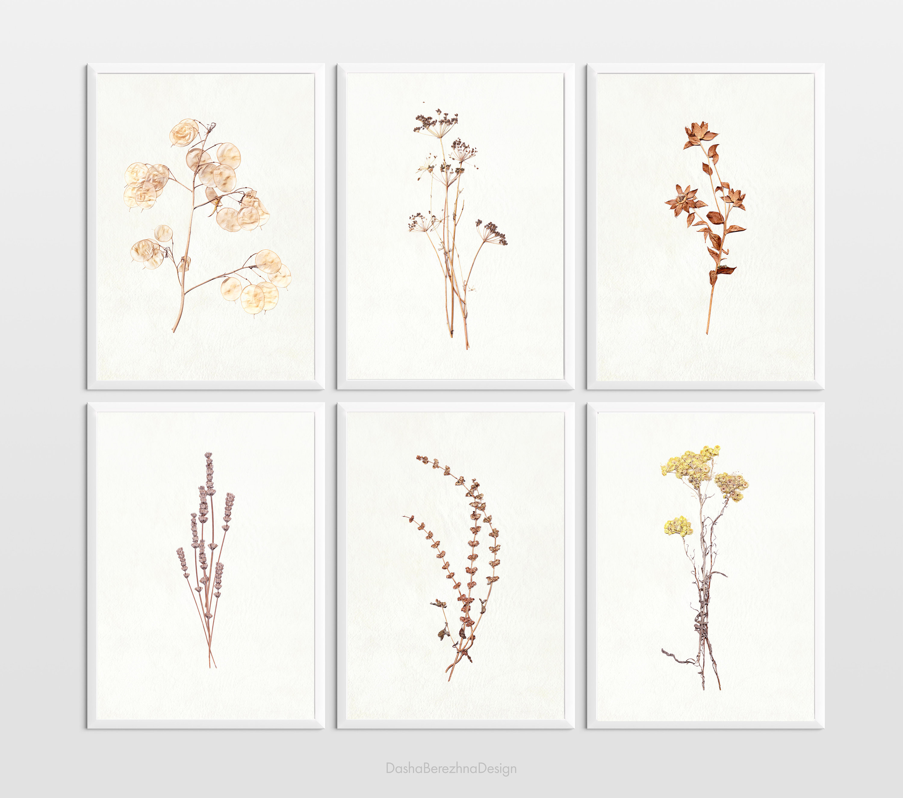 Flower wall decor Set of 6 prints Printable wall art Botanical | Etsy