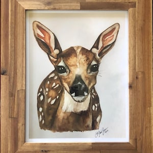 Fawn