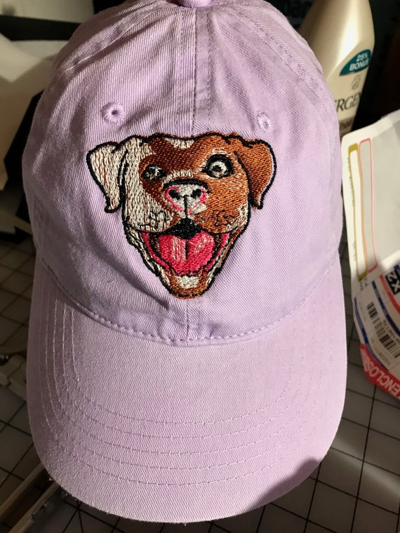 pitbull baseball caps