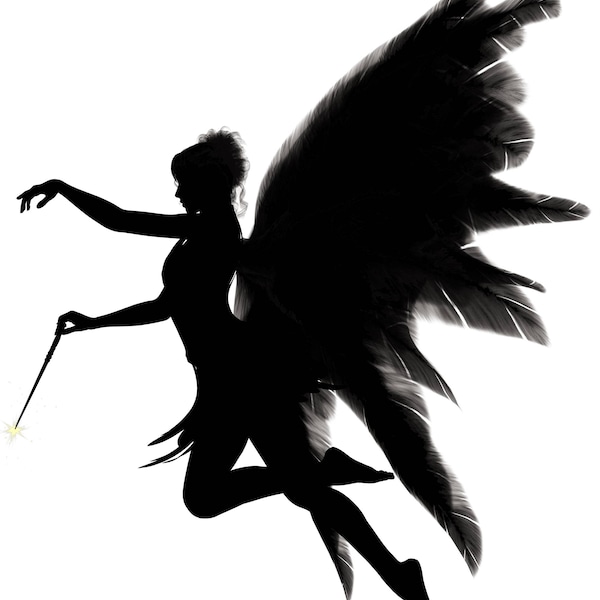 Angel Silhouette