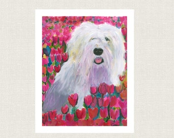 May include: A white fluffy dog with a pink tongue sticking out sits in a field of pink flowers. The dog is looking directly at the viewer.