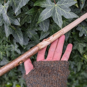 May include: A hand-carved wooden wand with a fish design. The wand is light brown with a darker brown handle. The fish is etched into the wood. The background is green ivy.