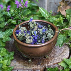 May include: A small, antique copper bowl filled with dried herbs and vibrant blue flowers. The bowl sits on a weathered wooden surface, surrounded by lush green foliage and purple wildflowers. The bowl has a small handle.