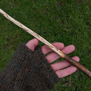 Willow wand from Avalon with crescent moon for traditional witchcraft and wicca