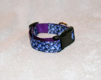 Blueberry/Fruit 1" Dog Collar