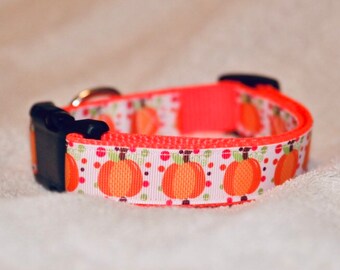 May include: A bright orange dog collar with a white background and a pattern of orange pumpkins and green leaves.