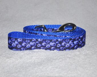 Blueberry/Fruit 1" 6ft Dog Leash