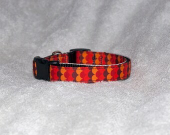 Fall Scallop 5/8" Dog Collar