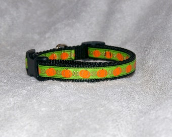 May include: A green and black dog collar with a repeating pattern of orange pumpkins.