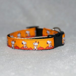 Fall Pumpkin 5/8&quot; Dog Collar