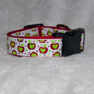 Apple 1&quot; Dog Collar