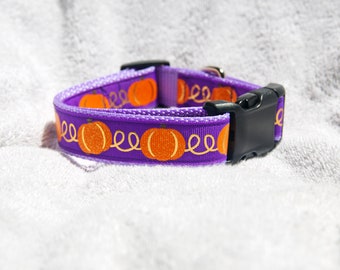 Purple Pumpkin 1" Dog Collar