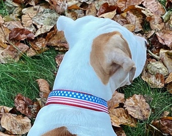 American Flag 1 in Dog Collar