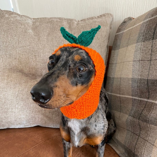 Pumpkin orange apple costume hat for dachshunds, dogs and puppies