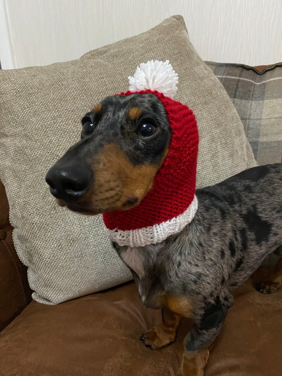 Santa Mrs Claus Elf Christmas Costume Hat for Dachshunds, Dogs and ...