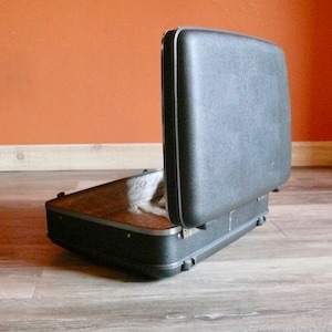 May include: A black hard-shell case with a hinged lid open, revealing an empty interior. The case is sitting on a wood floor.