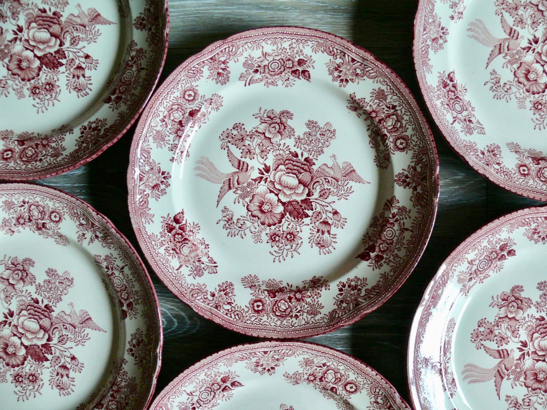 6 Old Gustavsberg Fasan Red Salad Plates 9 Red Asiatic - Etsy 日本