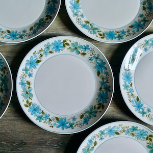 6 Mikasa Cera Stone Maggi Dinner Plates, Vintage Blue Flower Design on White Stoneware Plates, Made in Japan, 70s China Place Setting