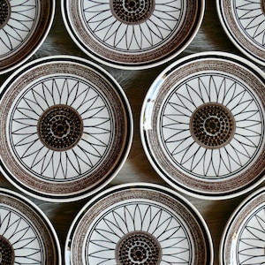 8 Royal Casa Del Sol Dinner Plates, Large Brown Daisy Flower Brown Band Design, Vintage Royal China Cavalier Ironstone Dinnerware