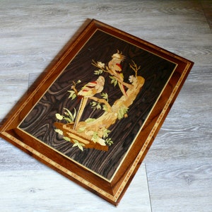 K&ouml;nnte beinhalten: Ein gerahmtes Holz-Marqueterie-Kunstwerk, das zwei V&ouml;gel auf einem Ast zeigt. Die V&ouml;gel sind aus verschiedenen Holzst&uuml;cken in verschiedenen Farben gefertigt, was einen Mosaik-Effekt erzeugt. Der Hintergrund ist eine dunkle Holzmaserung.