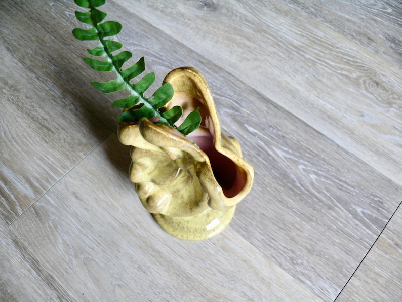 K&ouml;nnte beinhalten: Eine Vintage-Keramikvase in einem hellen Gelbgr&uuml;n, mit einem einzigartigen, gesichts&auml;hnlichen Design. Der Innenraum ist ein zartes Rosa. Ein Zweig gr&uuml;nes Kunstlaub befindet sich im Inneren der Vase. Die Vase steht auf einer hellen Holzoberfl&auml;che.