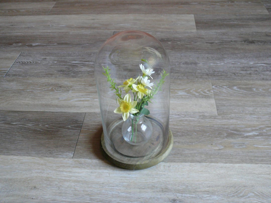 Glass Cloche Display Dome With Wood Base, Vintage Tabletop Specimen ...