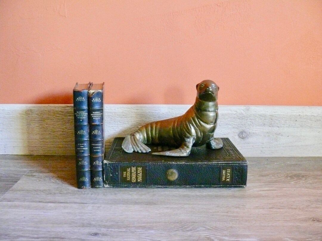 Large 8 Brass Sea Lion Figurine Statue Sea Lion Gift Etsy