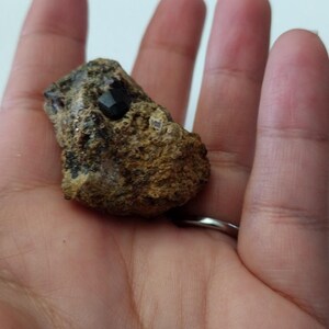 Andradite garnet with micro garnet crystals in matrix from Lorena prospect New Mexico/1.5 in/35 grams