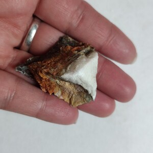 limonite with calcite from ojuela mine in Durango Mexico/ 1.5 in x 1 in/ 19 grams/ Mexican minerals/ Mexican crystals