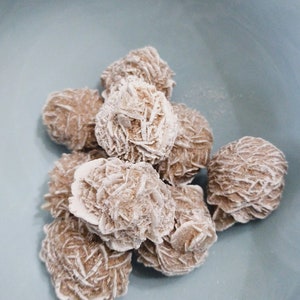 Desert rose specimens/ 1 inch specimens/ price per piece