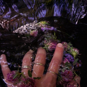 Peut inclure: Une main avec des anneaux aux doigts est immerg&eacute;e dans un cours d'eau avec des fleurs violettes. L'eau coule sur la main et les fleurs.
