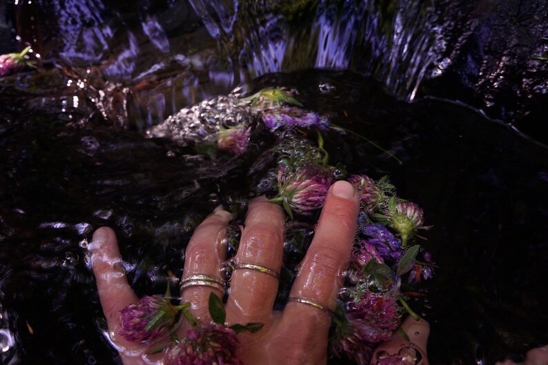 Peut inclure: Une main avec des anneaux aux doigts est immerg&eacute;e dans un cours d'eau avec des fleurs violettes. L'eau coule sur la main et les fleurs.