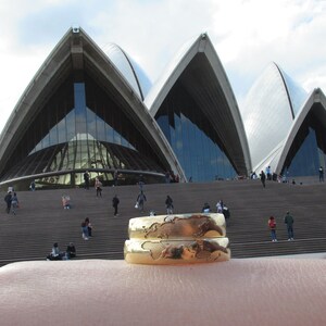 Peut inclure: Deux bagues en or avec un motif de carte du monde, port&eacute;es sur un doigt devant l'Op&eacute;ra de Sydney.