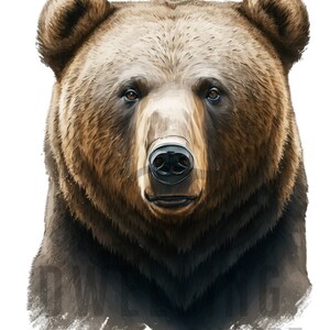 Brown Bear Portrait Print // DIGITAL DOWNLOAD