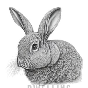 Gorgeous Pencil Rabbit Drawing Print // DIGITAL DOWNLOAD