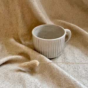 May include: A handmade, light grey ceramic mug with vertical ribbed detailing. The mug has a small handle and a textured surface. The mug is set against a neutral-toned, textured fabric background, with a dried flower stem in the foreground.