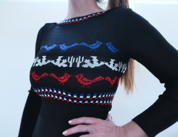 Vintage 70s A-Line Desert Motif Dress Roadrunners