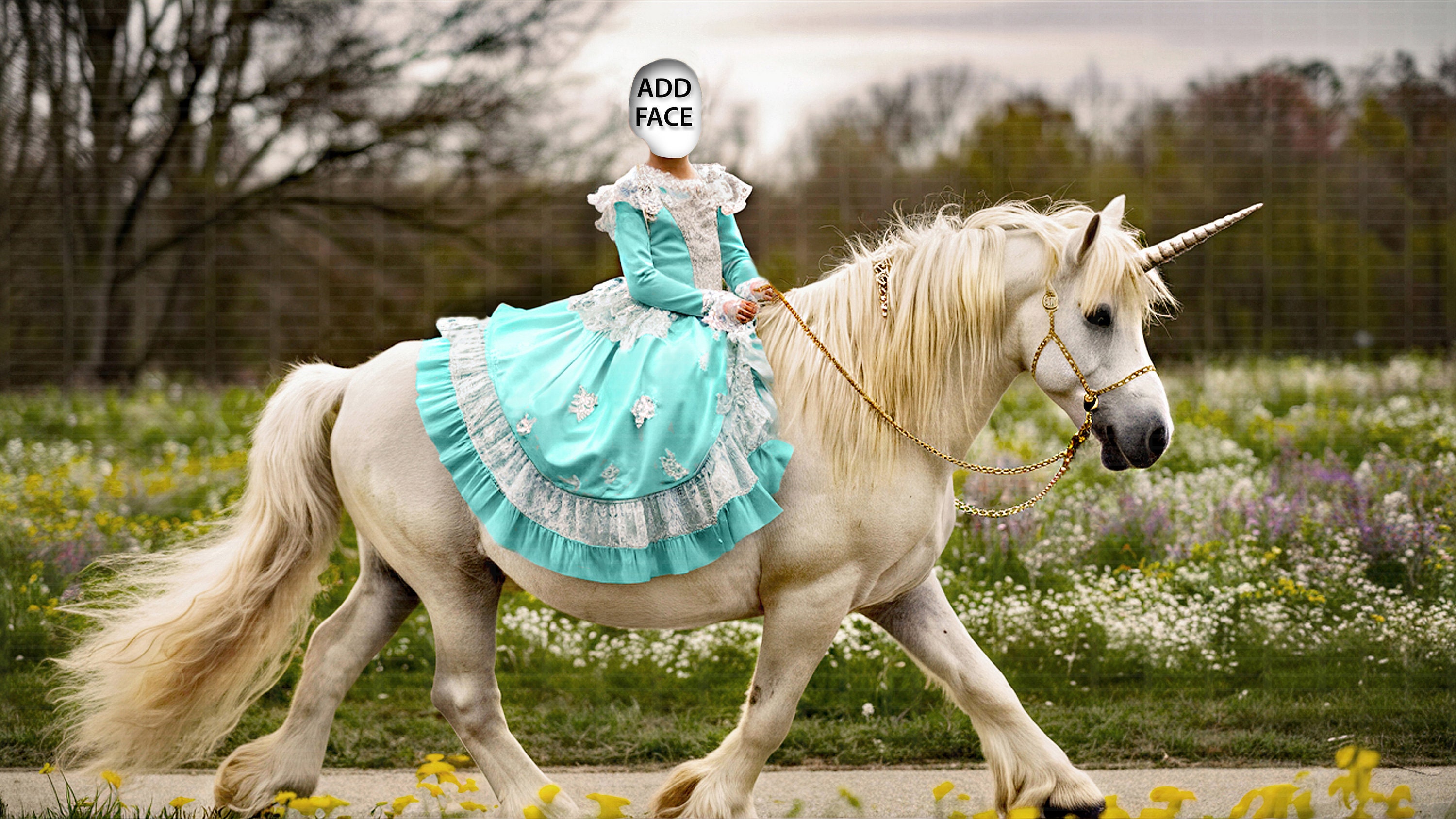 Face Insert Digital Backgrounds, Elegant Gowns, Majestic Unicorns. Add