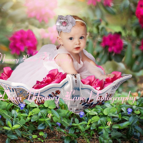 Digital Background, Spring Background, Easter Backdrop, Sitter Background, Toddler Background, Digital Bowl Prop, Spring Flowers,Photography