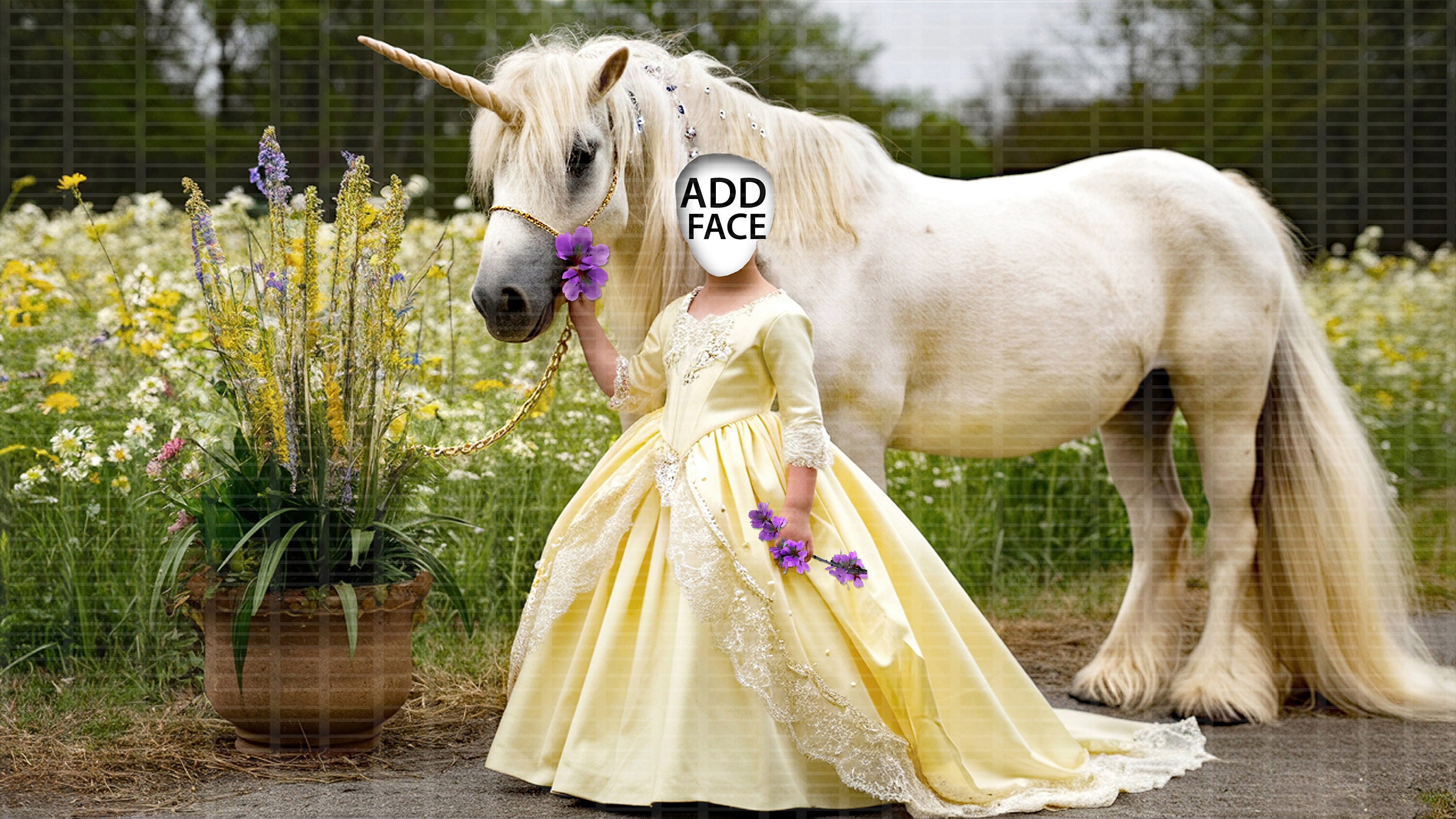 Face Insert Digital Backgrounds, Elegant Gowns, Majestic Unicorns. Add