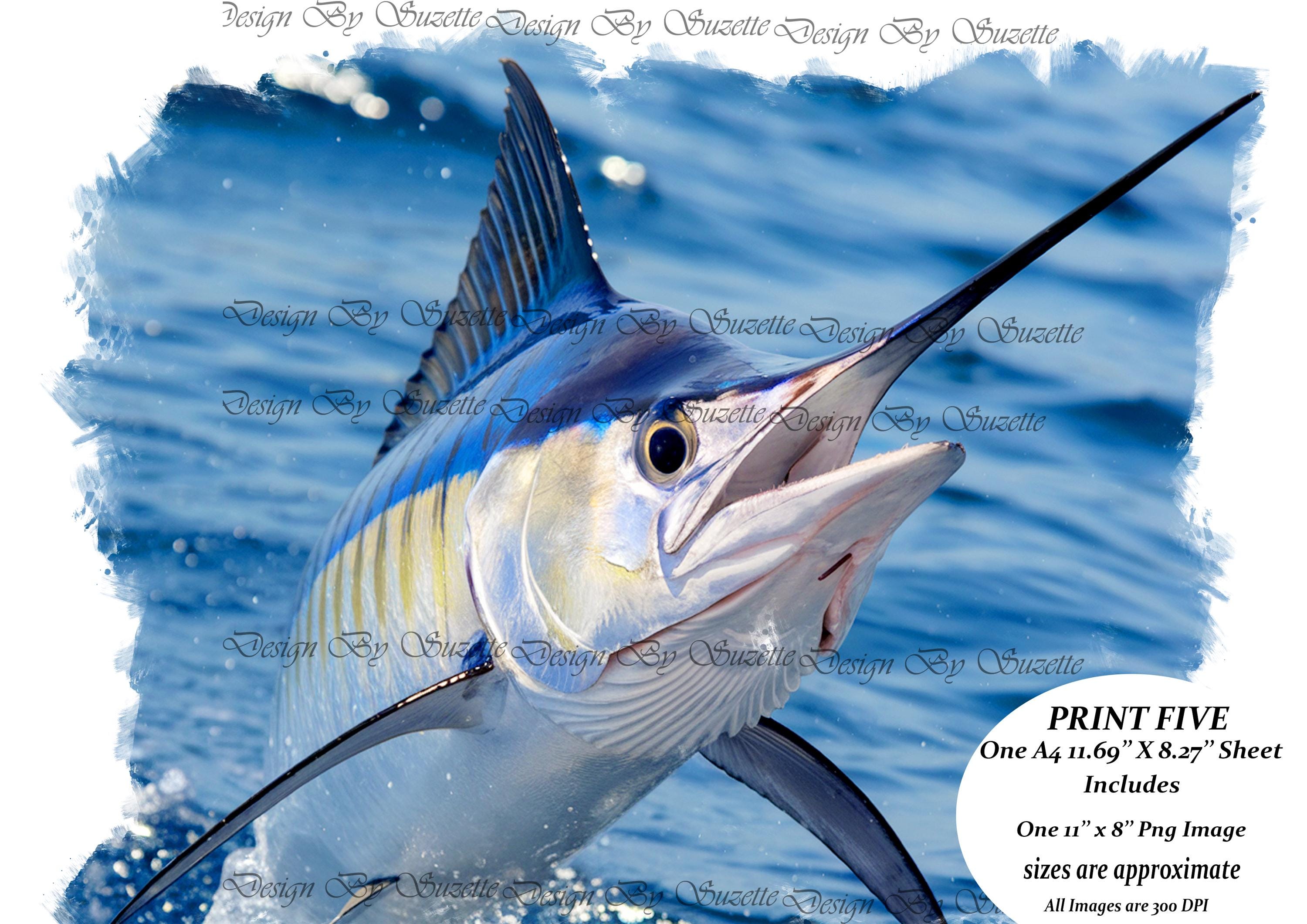 White Marlin Fish/ Rice Paper for Decoupage - Etsy