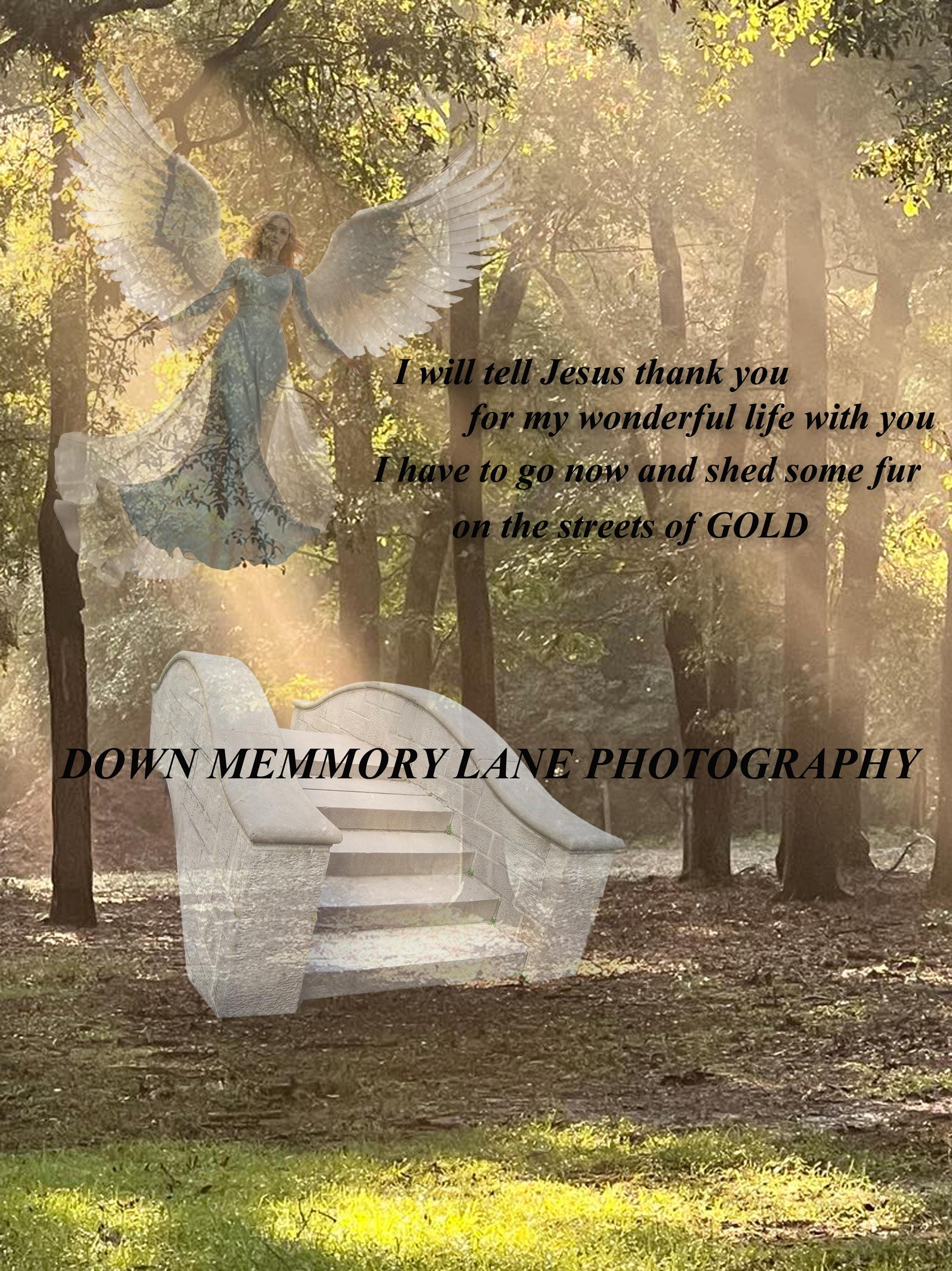 Pet Rainbow Bridge Digital Background, Pet ,angel, Heaven, Rainbow