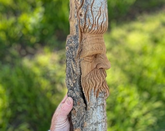 Woodspirit profile carved in cottonwood bark