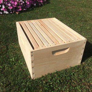 Pu&ograve; includere: Una scatola di legno per alveare con un coperchio incernierato e una maniglia. La scatola &egrave; in legno grezzo e ha un colore naturale. La scatola &egrave; appoggiata su un letto di erba verde.