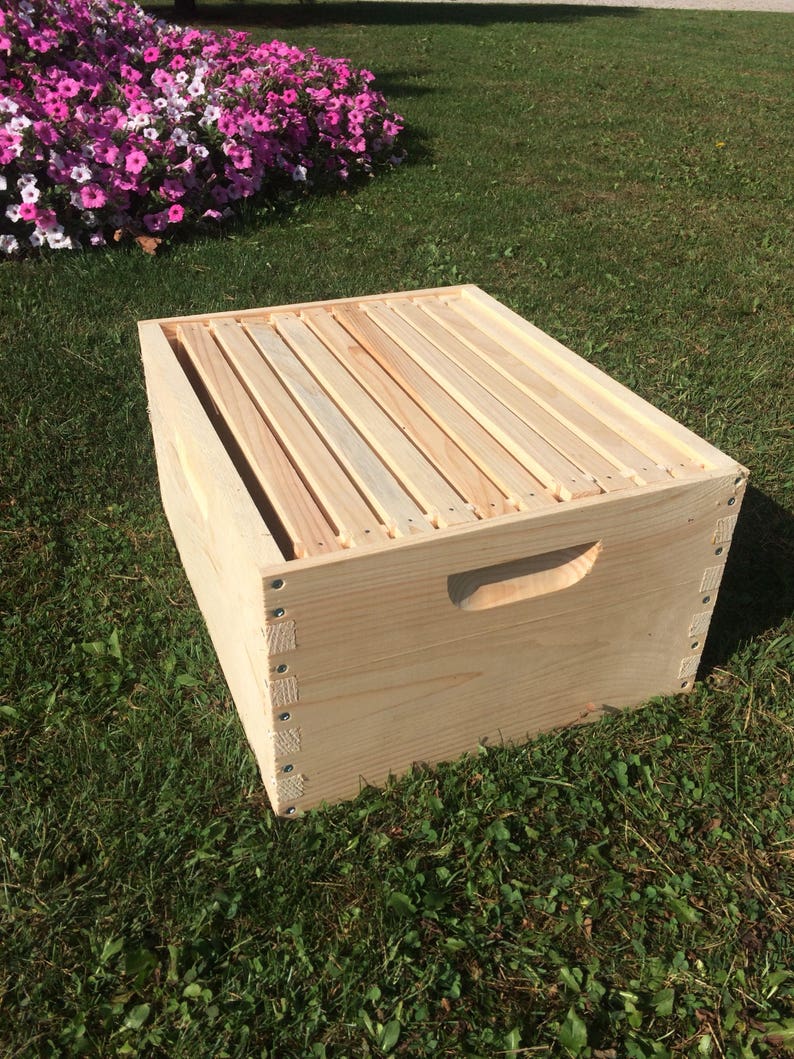 Pu&ograve; includere: Una scatola di legno per alveare con un coperchio incernierato e una maniglia. La scatola &egrave; in legno grezzo e ha un colore naturale. La scatola &egrave; appoggiata su un letto di erba verde.