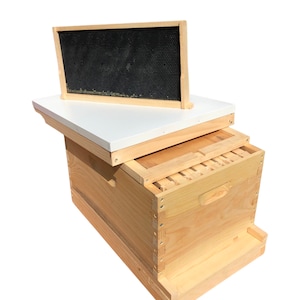 May include: A wooden beehive with a white lid and a black honeycomb frame on top. The beehive is made of natural wood and has a simple design.